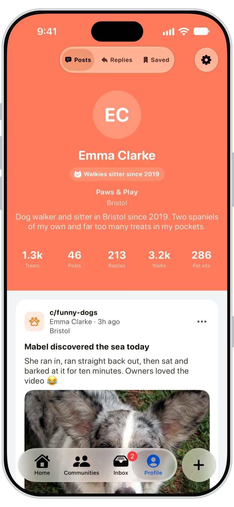 A sitter's Walkies Pack profile with her business, brand color, walks and pet sits