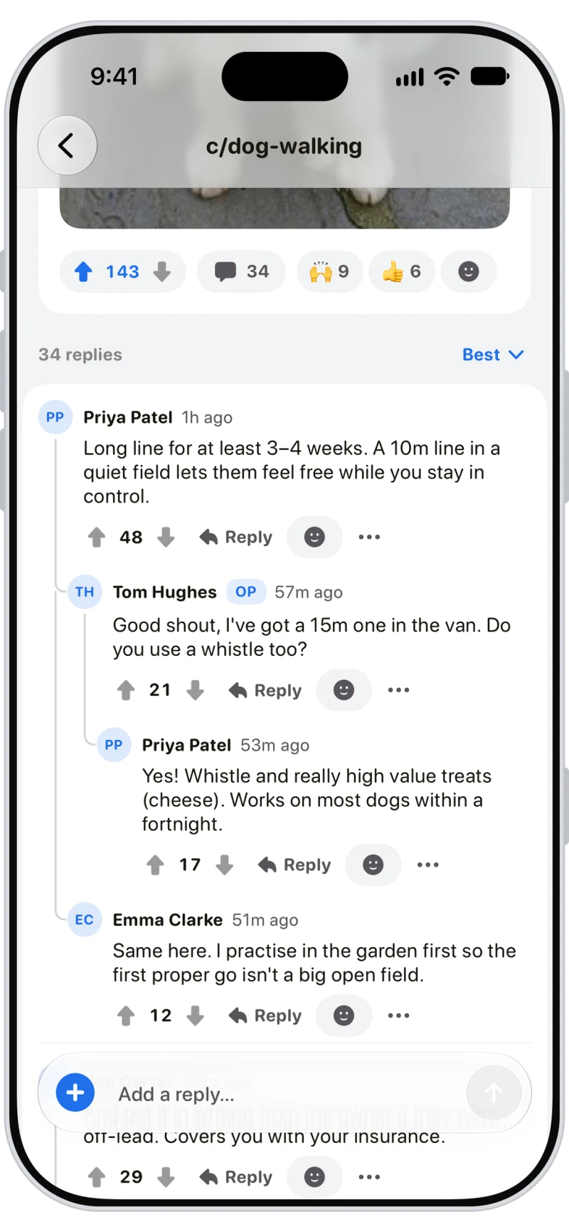 Threaded replies from other sitters to a question about recall in Walkies Pack
